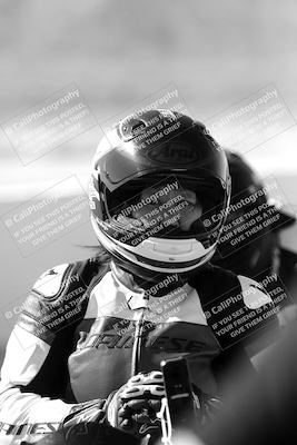 media/Mar-08-2025-TrackXperience (Sat) [[277b597a28]]/1-Around the Pits - Pre Grid/